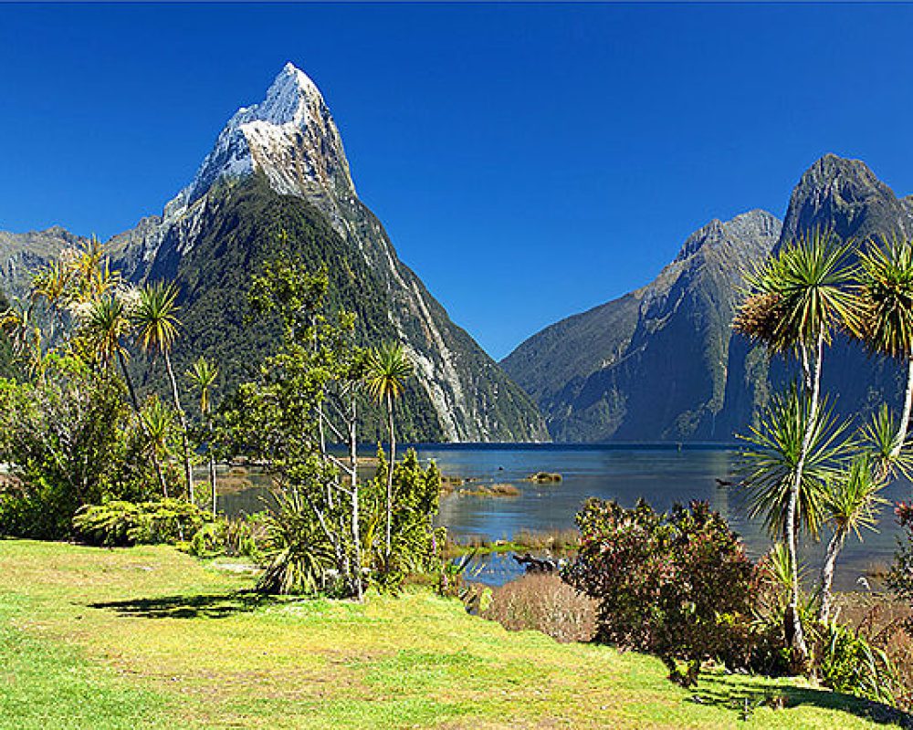 New Zealand Tourist Visa​